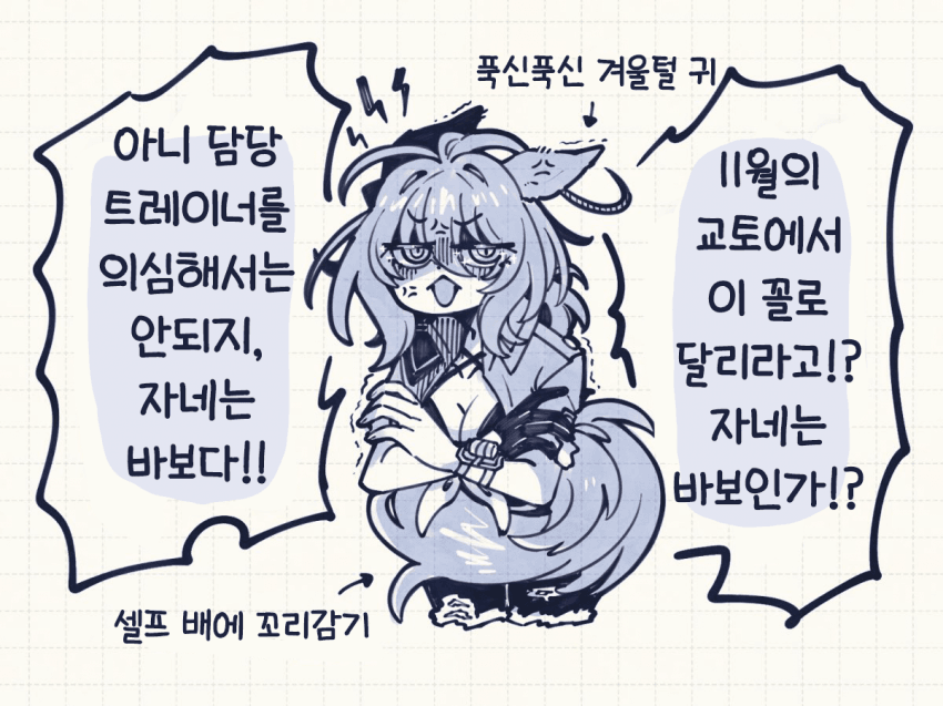 [とら時雨]11월 말오스 멤버 수키온