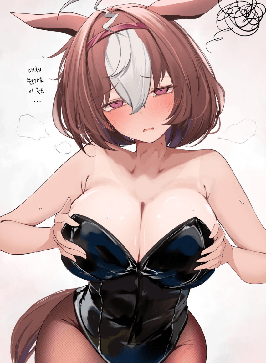 [ねぎぽん]도토, 이 옷을 입어 줘!!