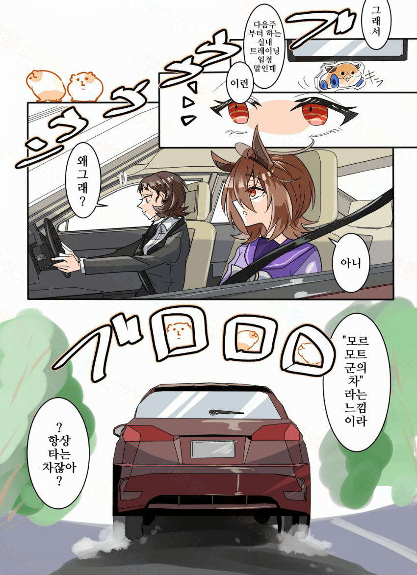 [どすこい]모르모트의 차