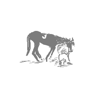 핫산) 키스톤, 테라야마 슈지, 한국인