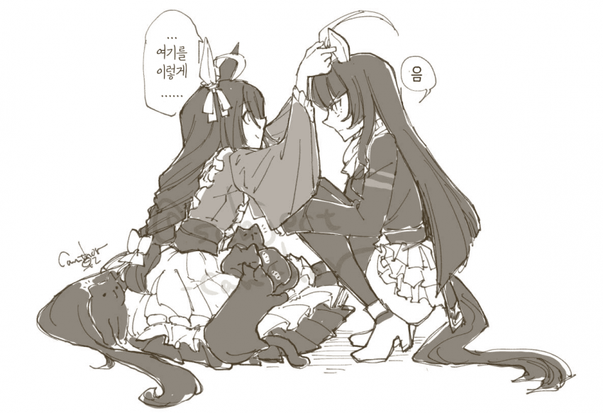 [乾燥]"야옹이 천국!!"