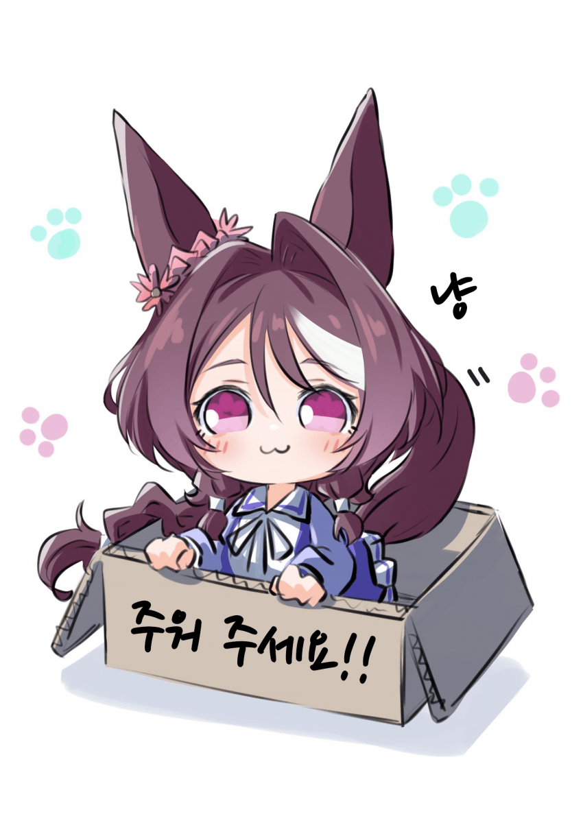 [たこやき]ฅ^•ω•^ฅ