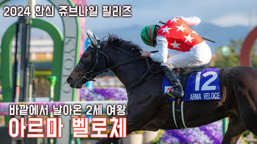 핫산) 아르마 벨로체 - 24 한신JF 「여왕으로」