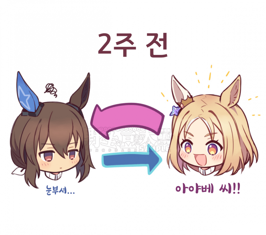 [トマト豆太]rttt 보기 전후의 토뿌아야 이미지