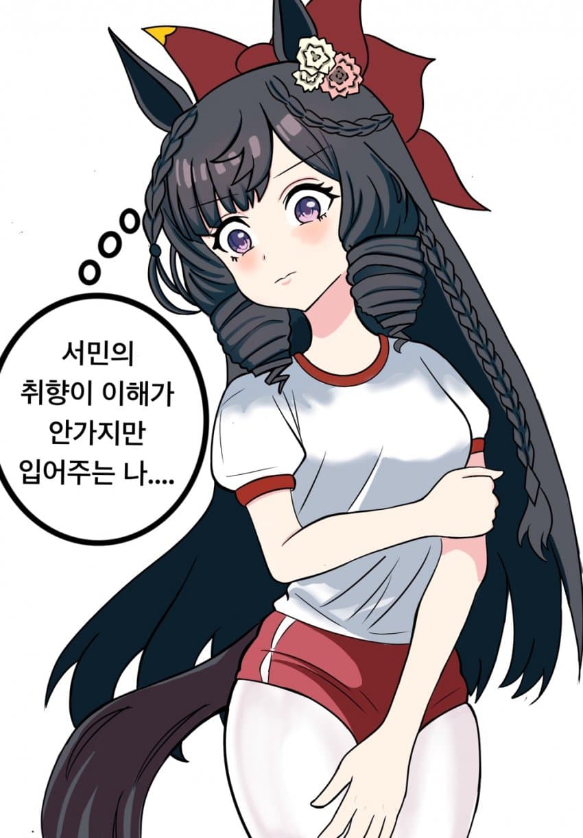 부르마 입은 루비 그림