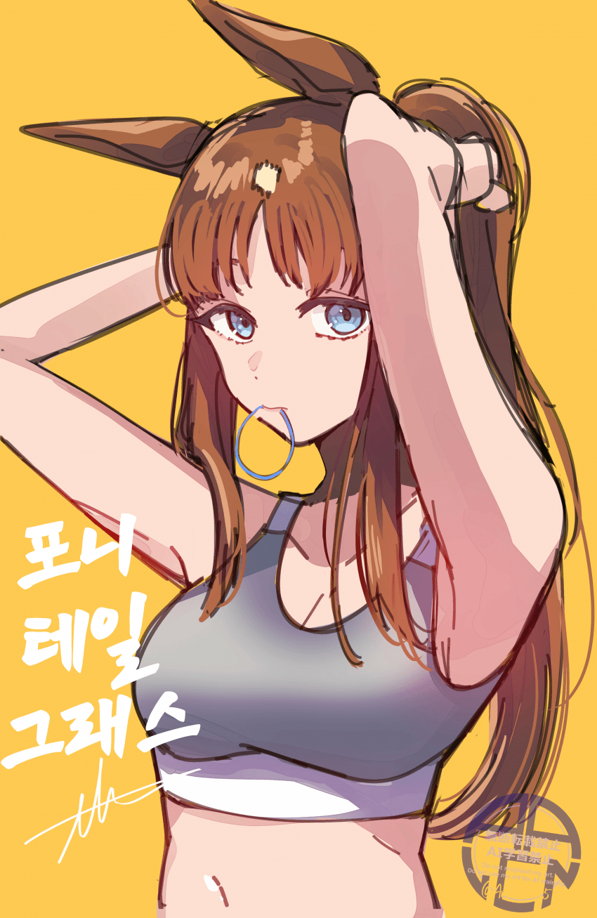 [あーくん]포니테일 그래스