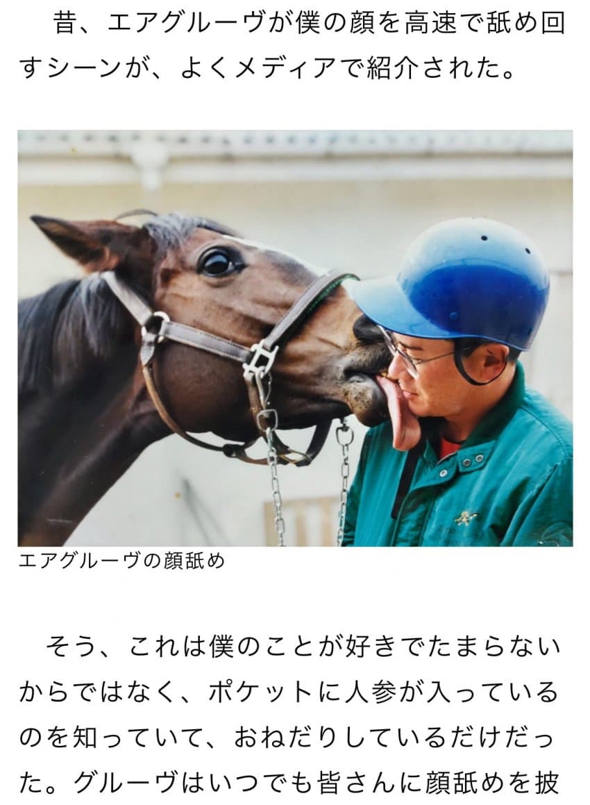 우연히 주운 잘 안알려진 에어그루브 페로짤