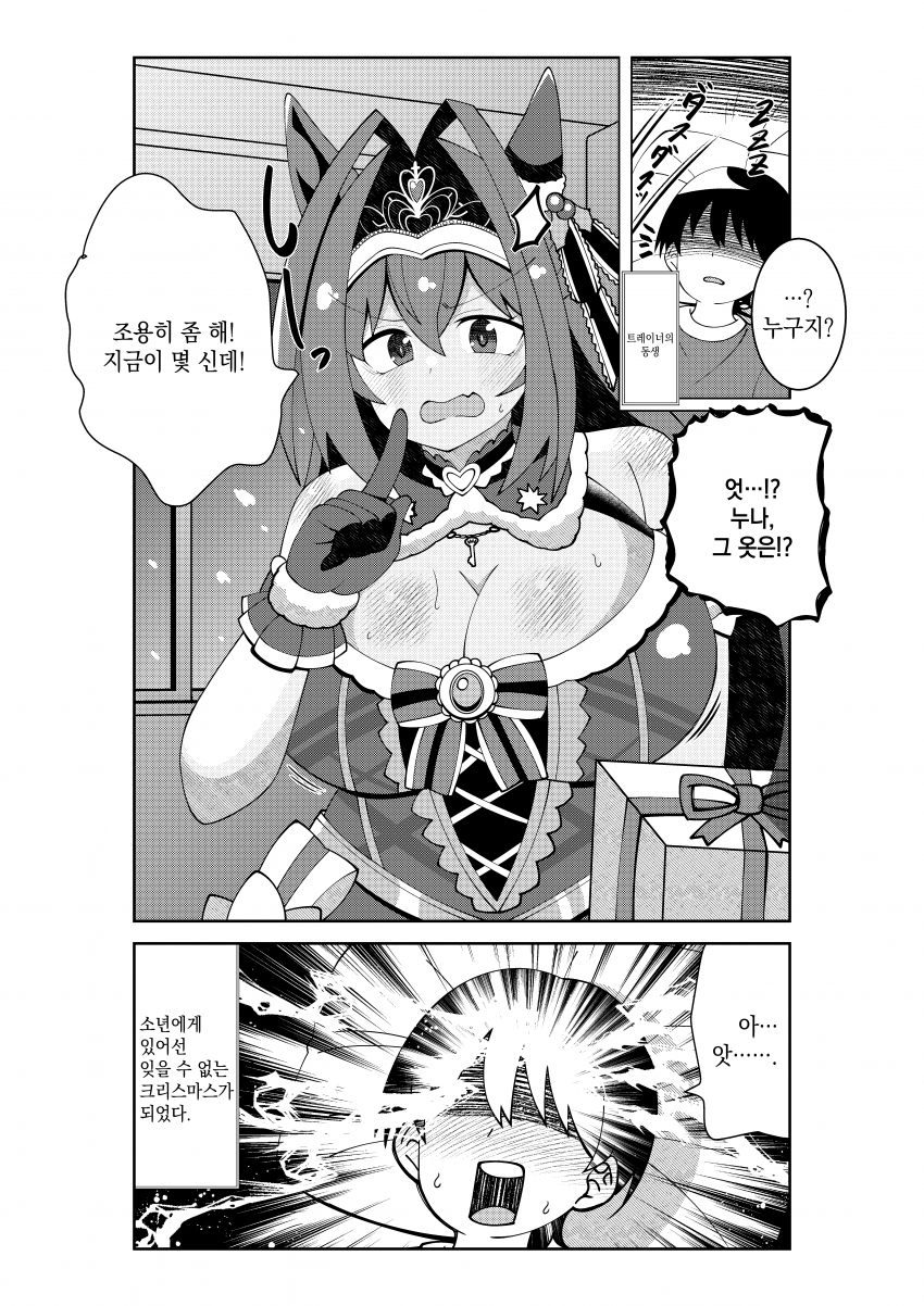 [荒森進(ラッコ)] 산타 다스카