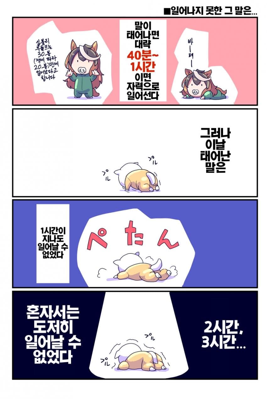 [坂崎ふれでぃ]혼자 서지도 못했던 불쌍말의 최후...