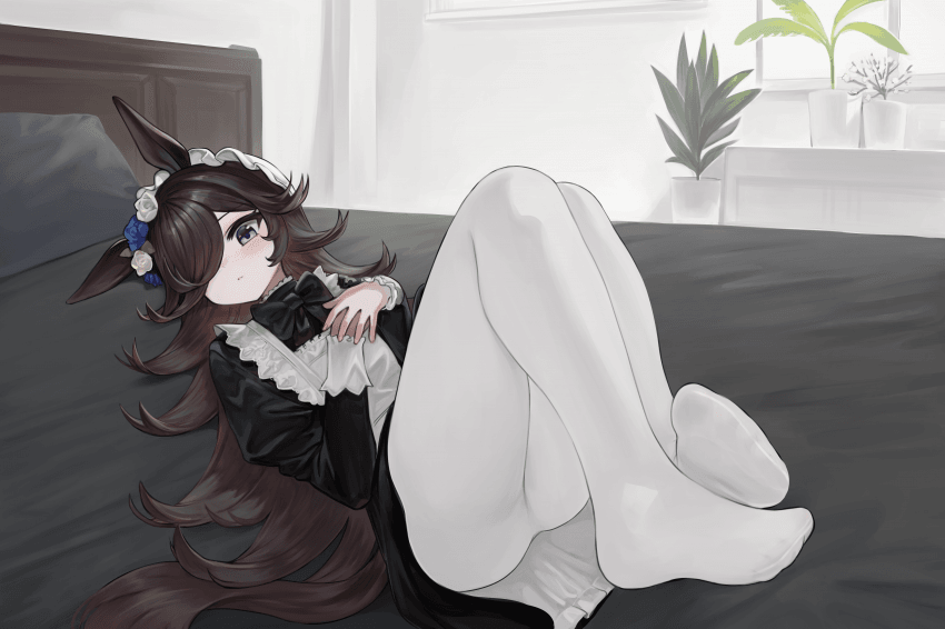 라이스 그림 두장