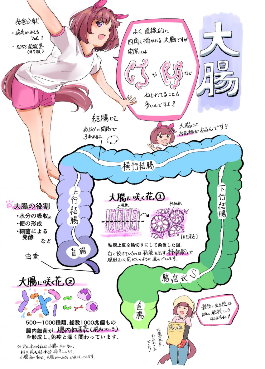 묘하게 취향 특이한 작가
