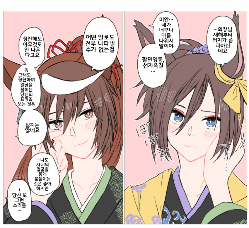 [びじょん]새해의 루도그루