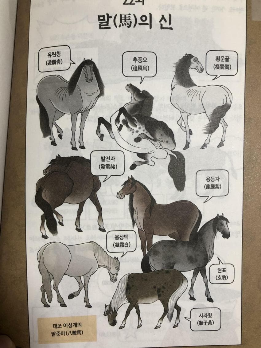 [정보] 조선 태조 이성계는 8마리의 애마가 있었다고 한다.