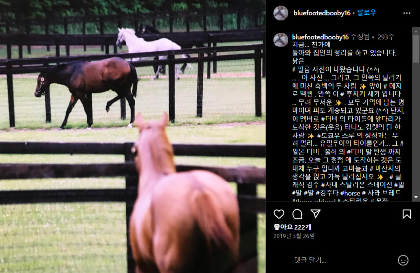 후지-맥퀸-김렛-타키온이 함께 있는 짤