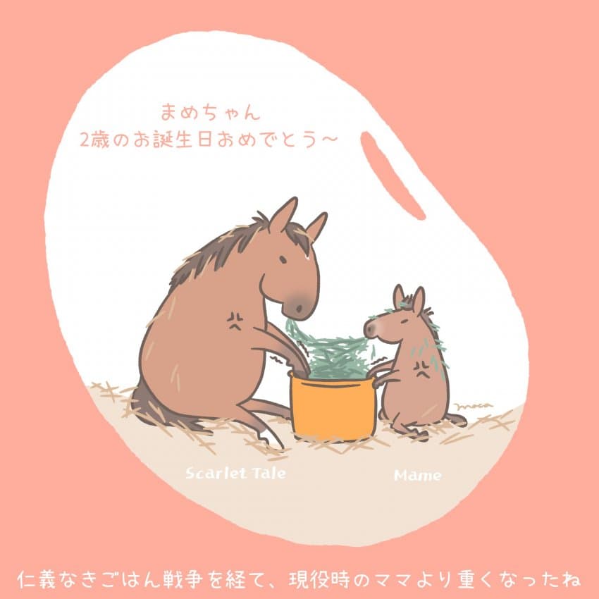 마메 생일축하 짤