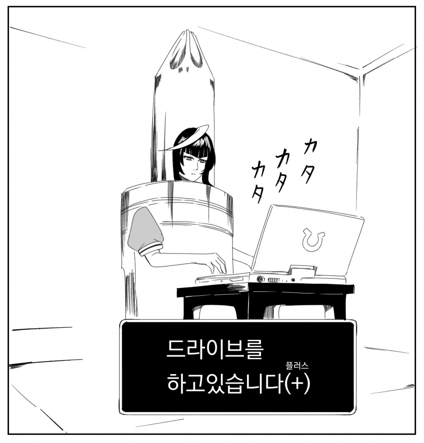 [毛玉]드라이버를 하고 있습니다