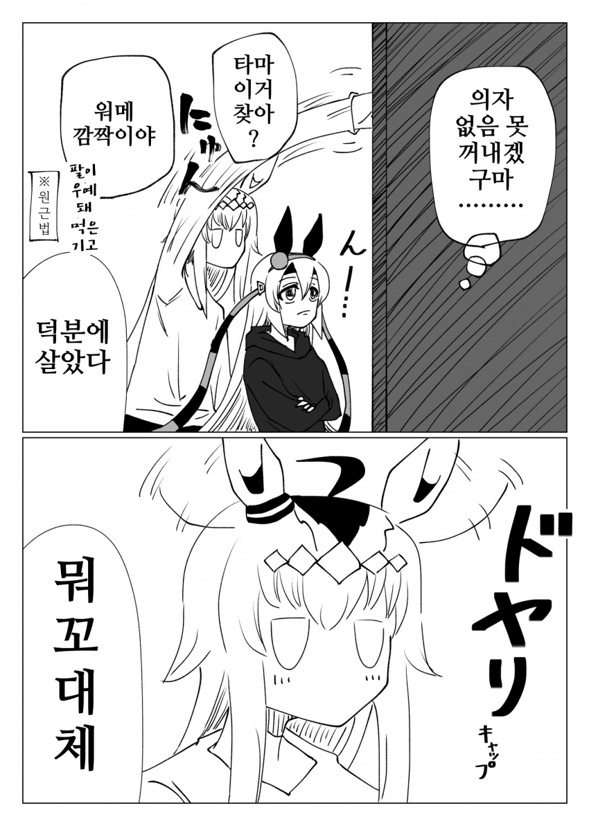 [置き場]도야리 캡