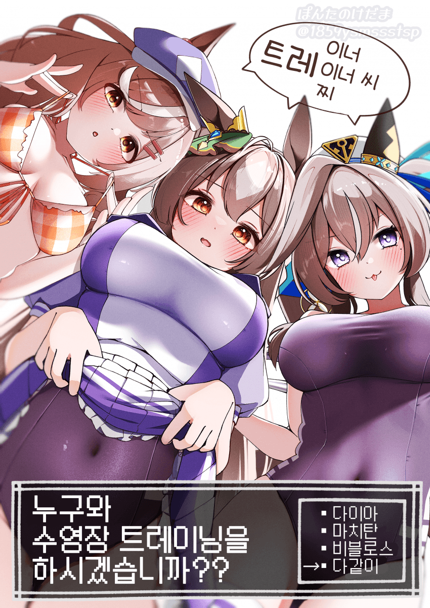 [ぽんたの毛玉]누구와 수영장 트레이닝을 하시겠습니까?