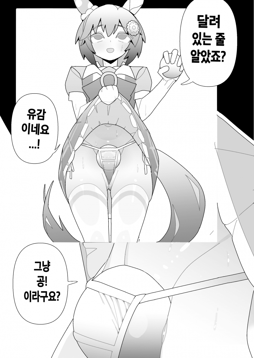 불룩한 세이운 스카이