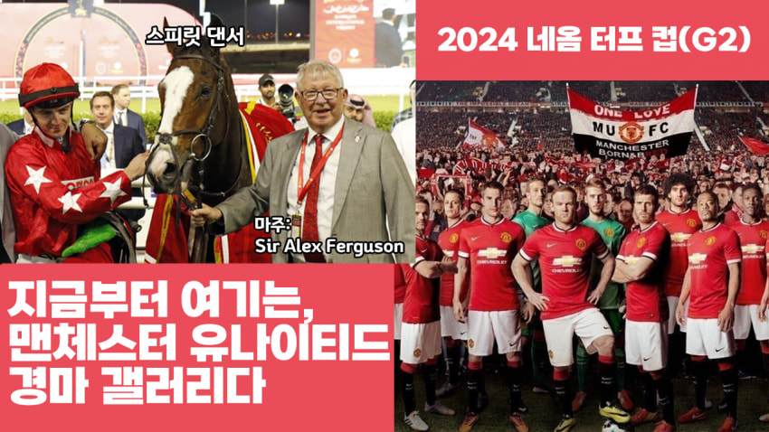 심플한 다음 경마 핫산 썸네일.png