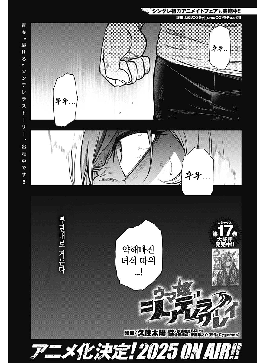 신데렐라 그레이 제174R
