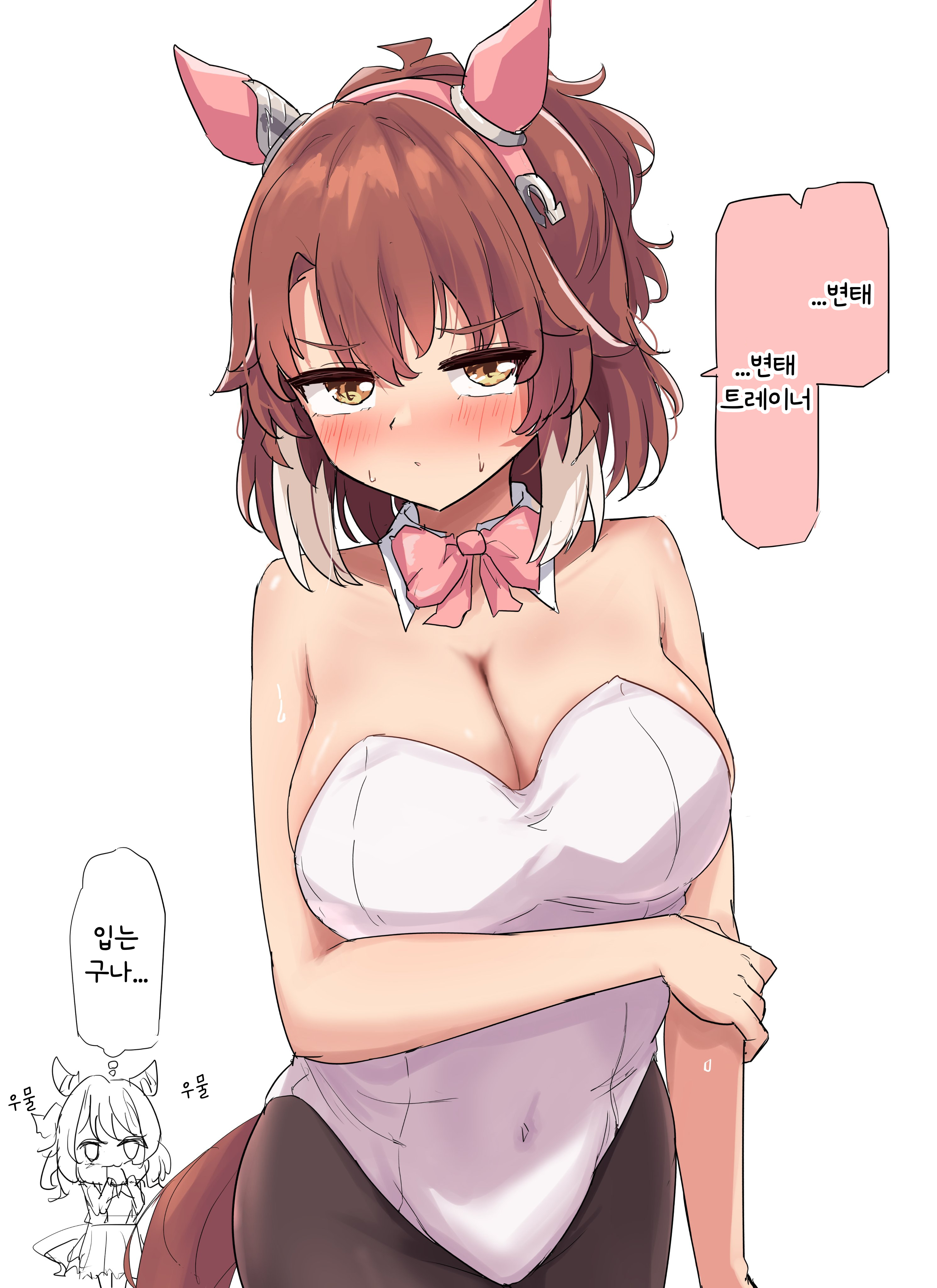 [グレイブックス] 바니걸 단츠