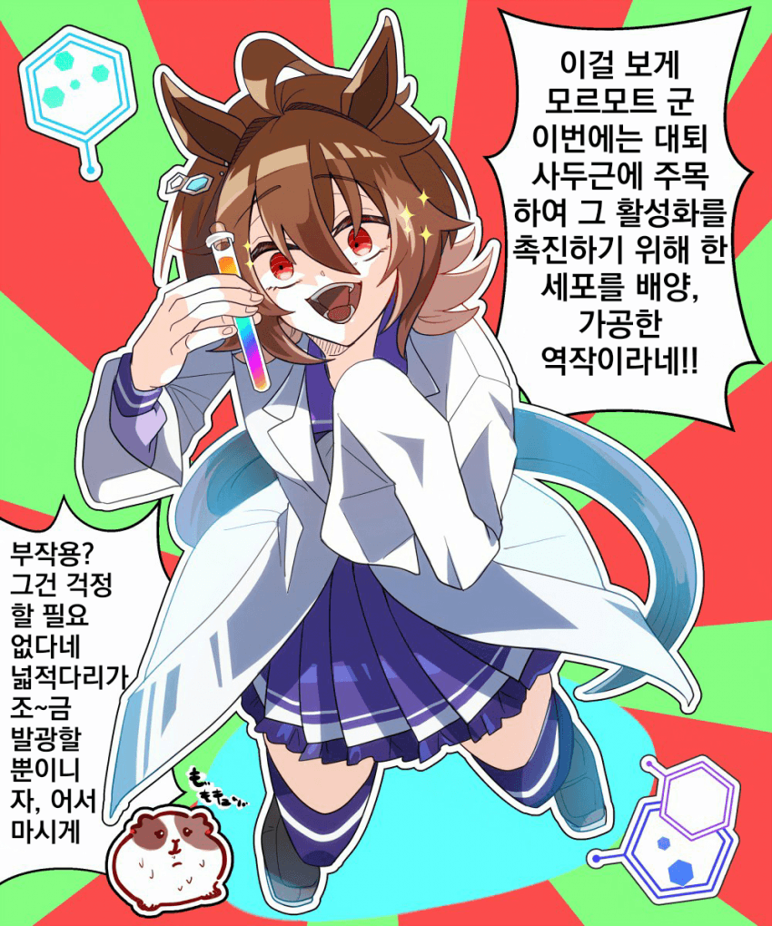 [どすこい]실험 온