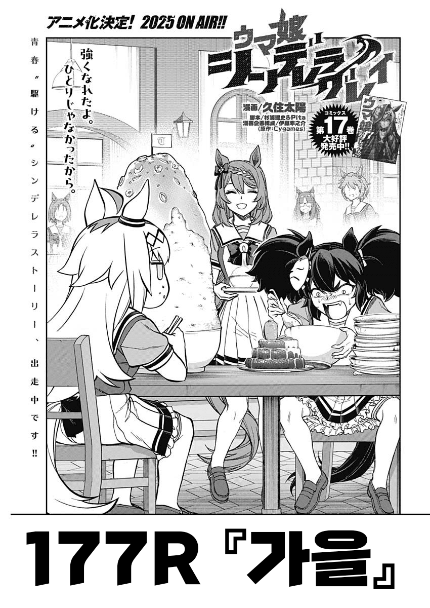 신데렐라 그레이 177R