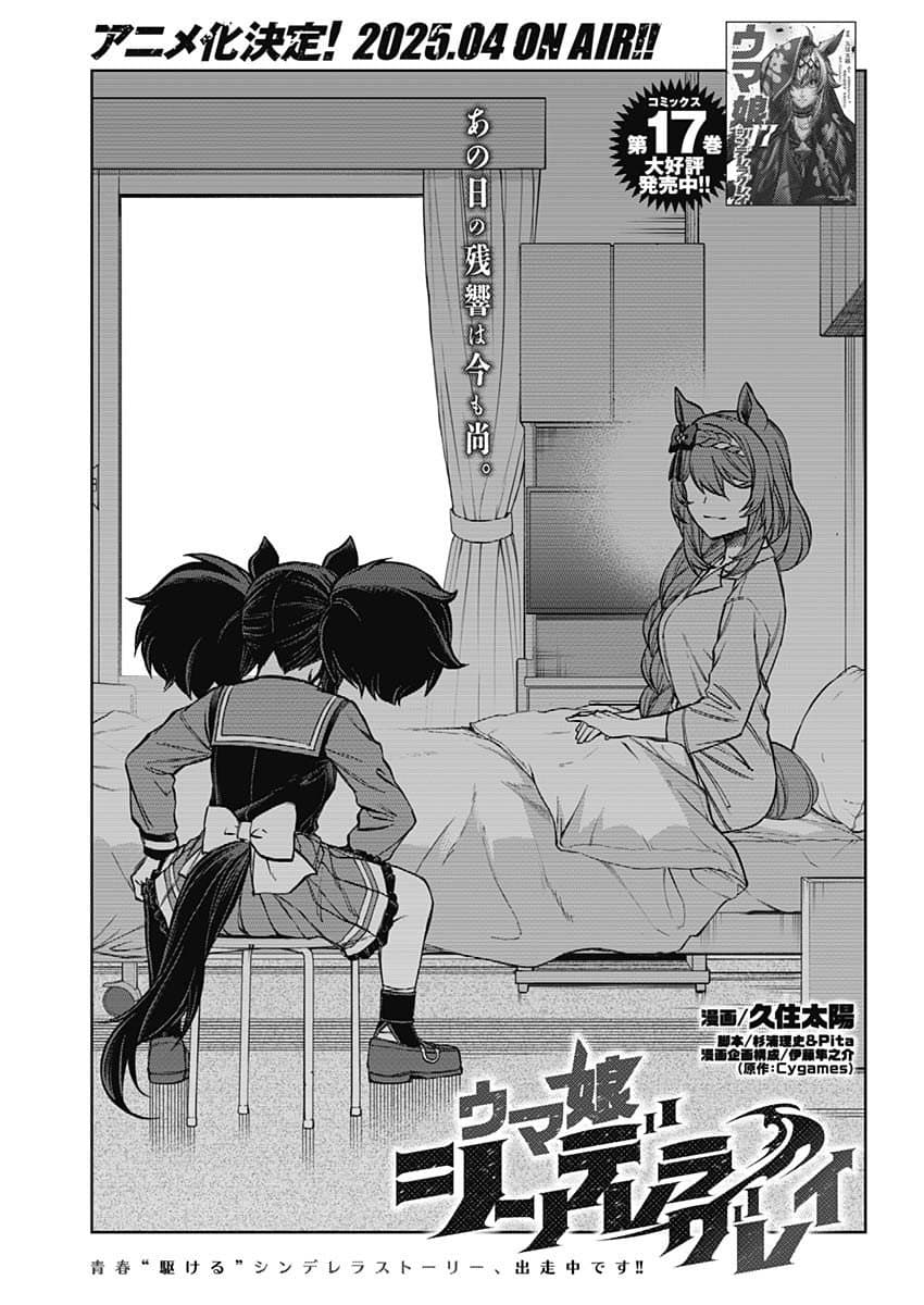 신데렐라 그레이 178R