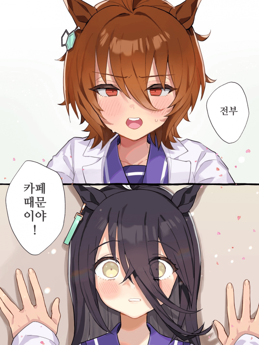 [nochatea]사랑