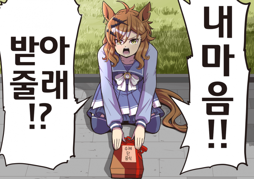 [ヴェルタ]포켓의 성의가 담긴 초콜릿