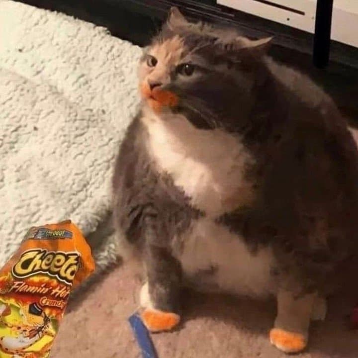 실수로 트레이너를 극대노하게만든 말딸들보고싶음