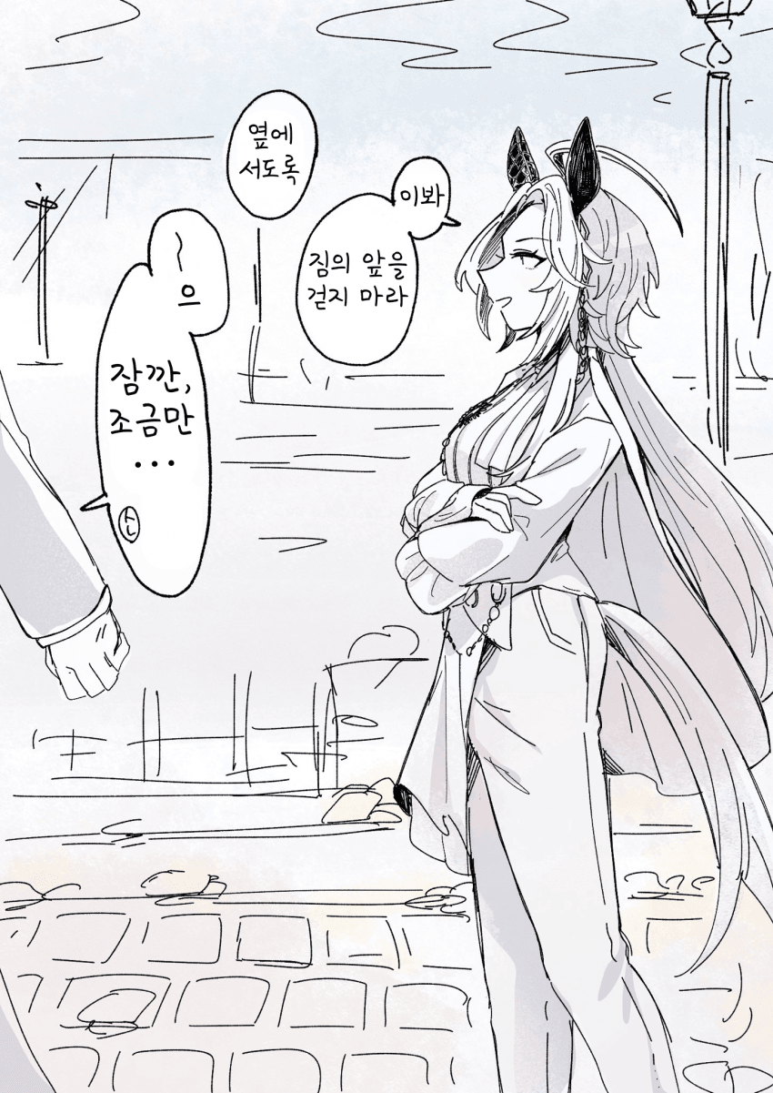 [あまの]짐의 앞을 걷지 마라