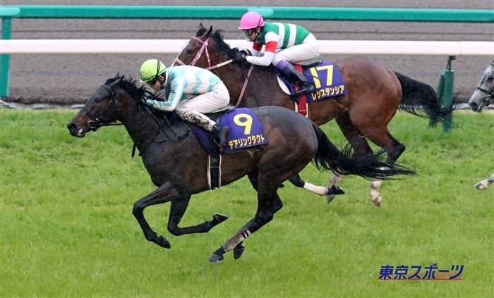 핫산)2020 벚꽃상 - 데어링 택트 / 스페페페 +12600엔!