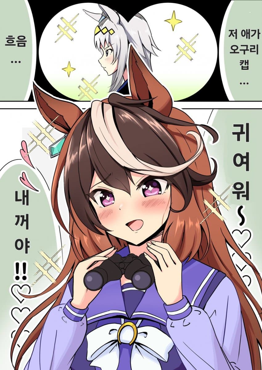 [みちのく] 루돌프의 스카우트
