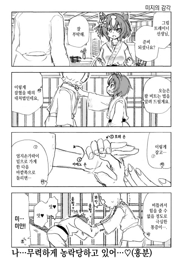 [わし] 미지의 감각