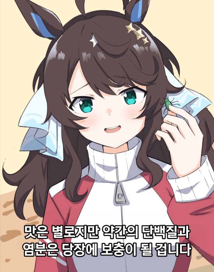 [杉乃木] 택트 vs 자연 (사막 편)