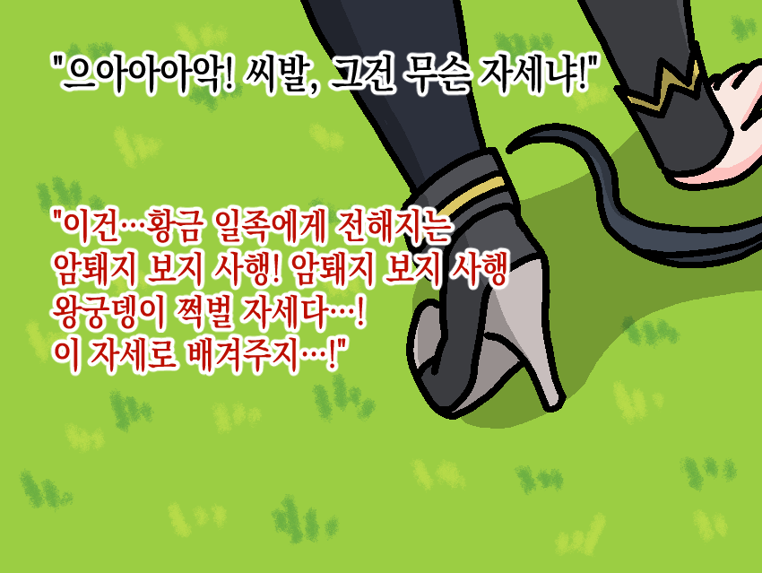 암보사 / 표독한 저도 화가 났어요