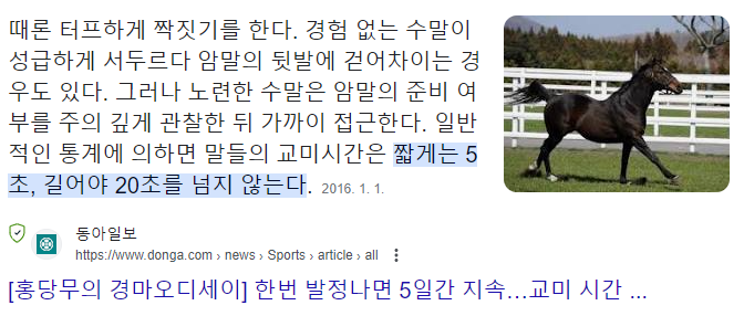 우마미미와 히토미미는 친밀하게 지내야만 했을걸