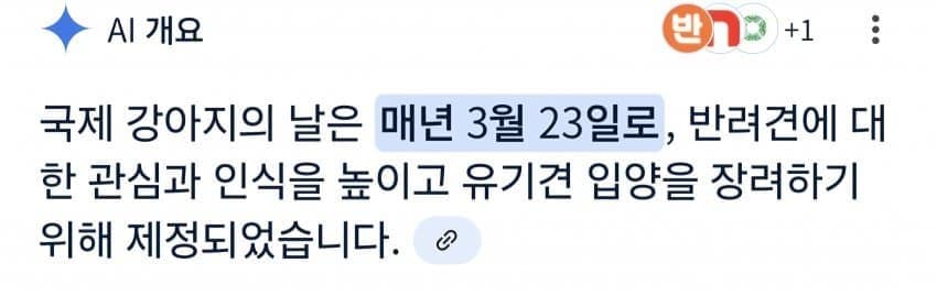 오늘은 "국제 강아지의 날"입니다