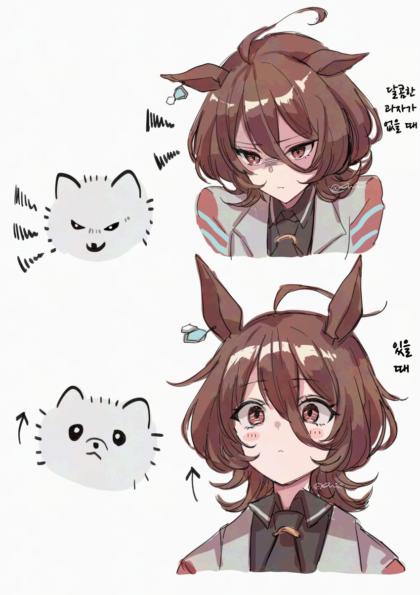 [そつなく]개과 타키온