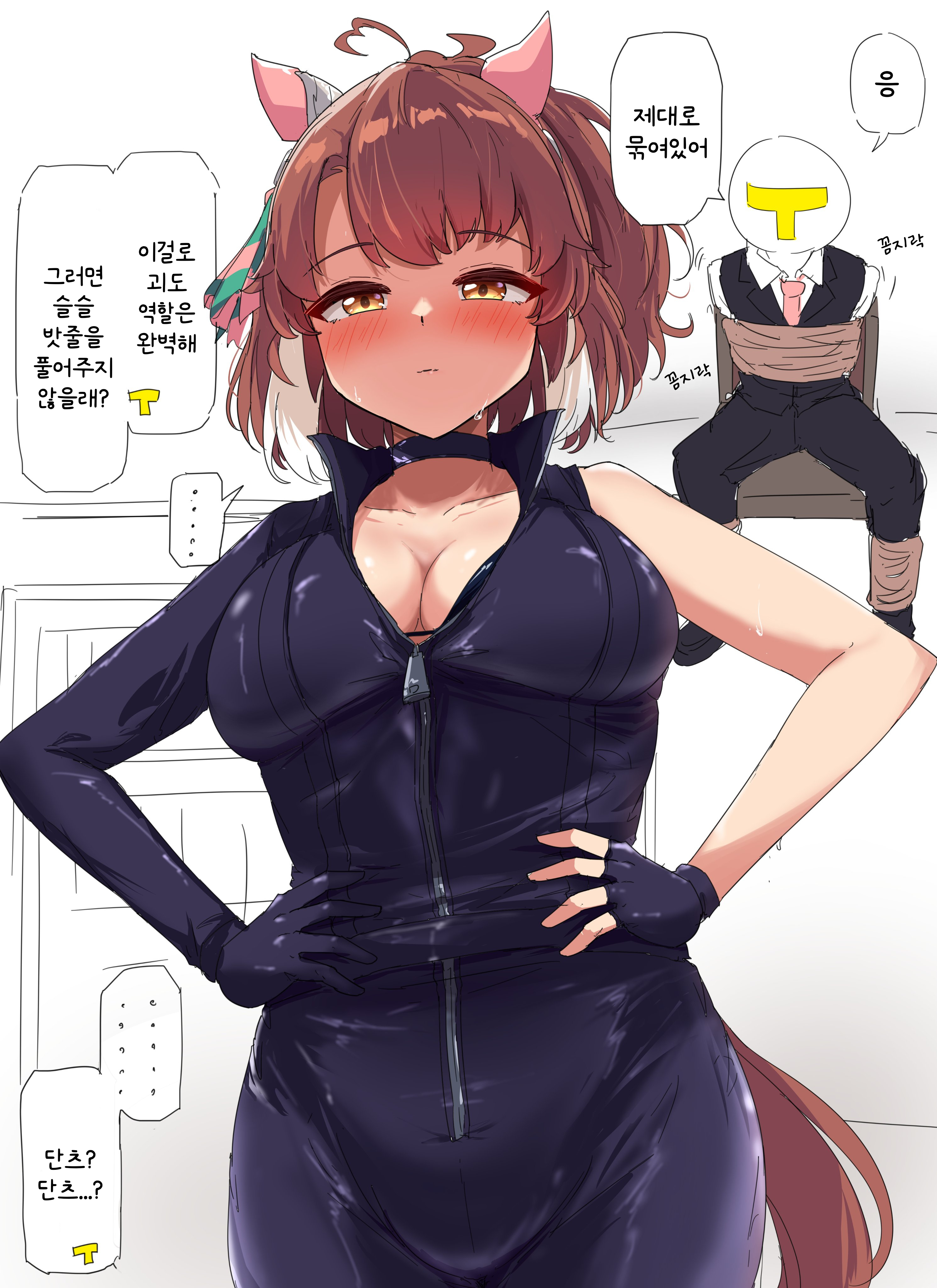[グレイブックス] 괴도 단츠