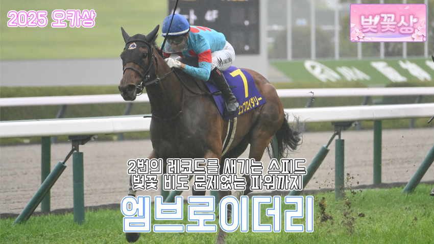 핫산) 엠브로이더리 - 25 오카상 「자수처럼」
