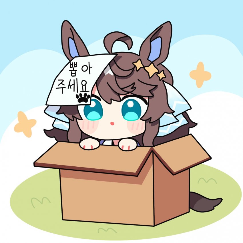 택트 생일기념 택트짤