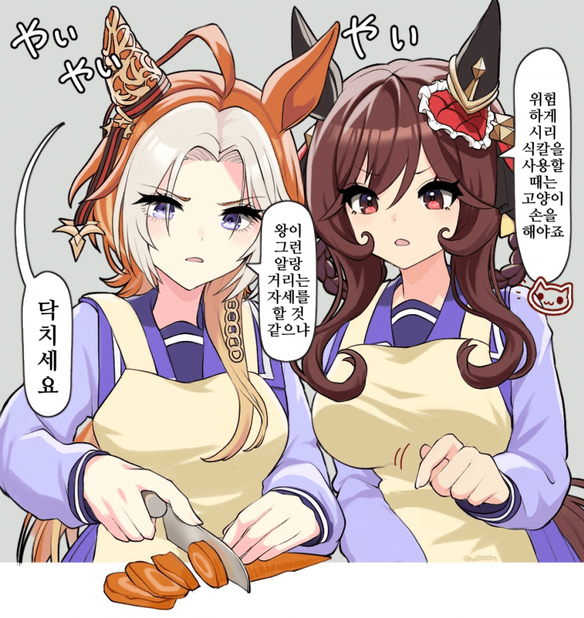 [にe]식칼을 쓸 때는
