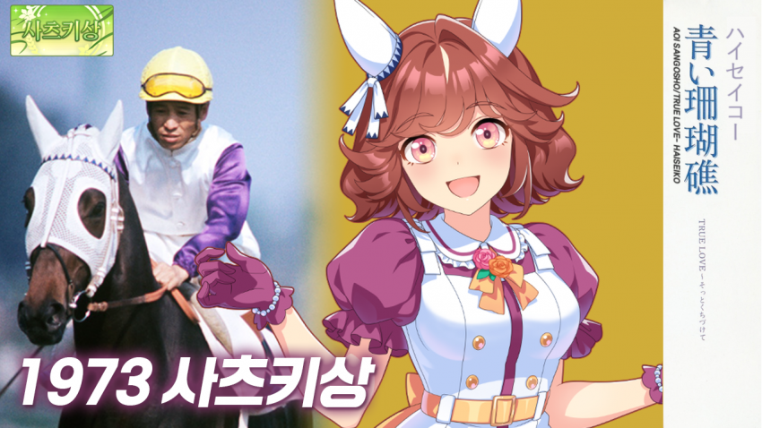 심플한 다음 경마 핫산 썸네일.png