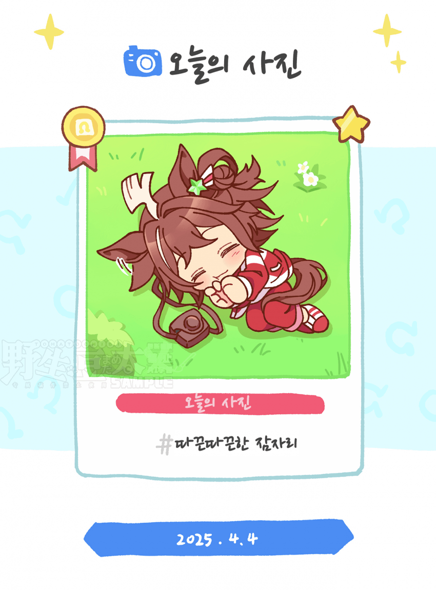 [トマト豆太]오늘의 사진