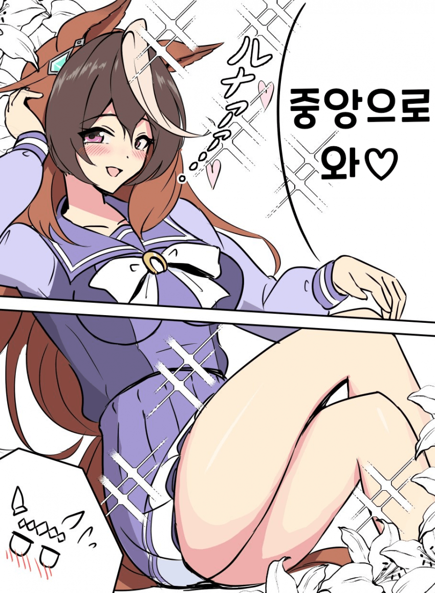 [みちのく] 오구리의 중앙행을 촉구하는 루돌프