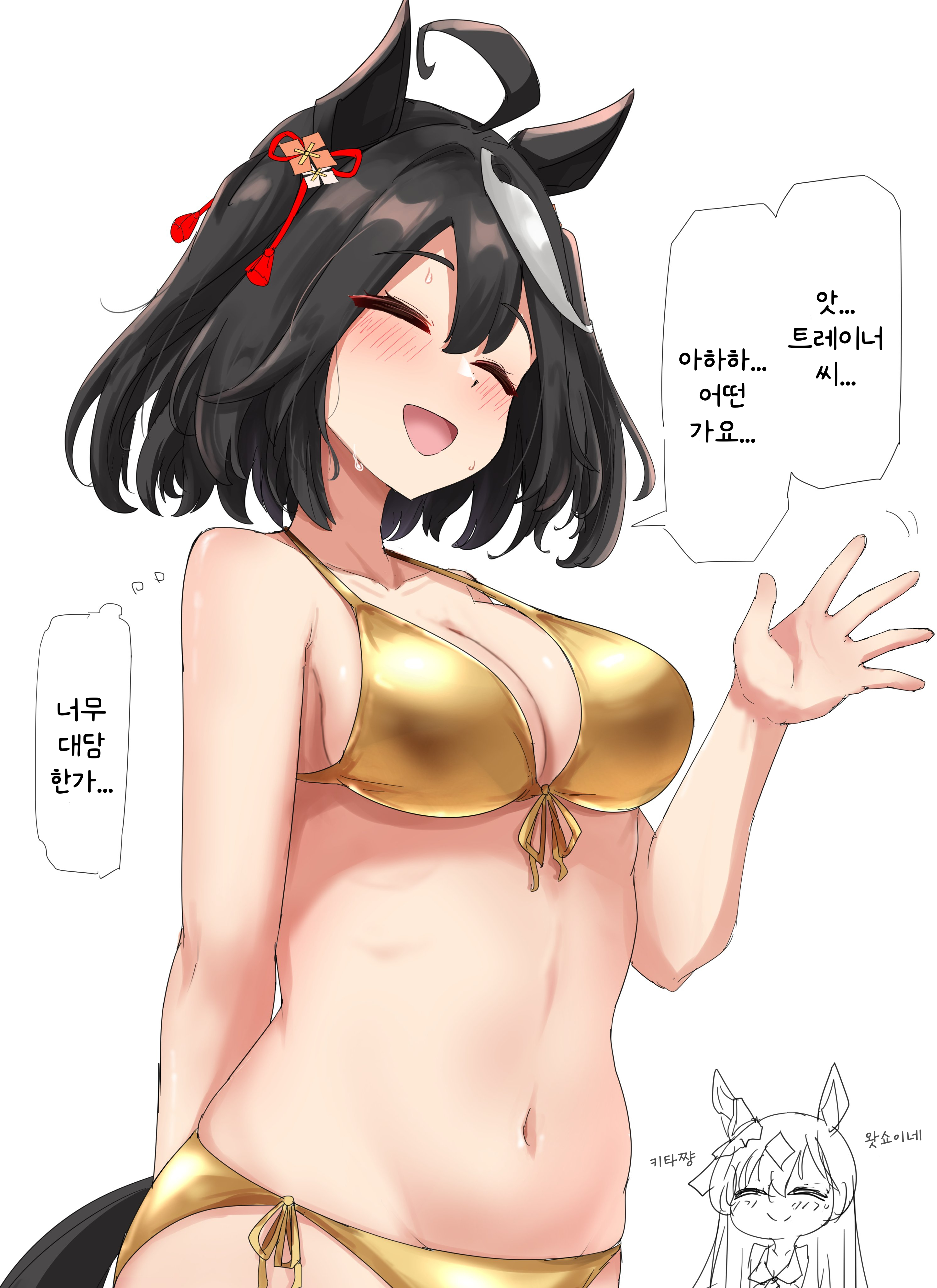 [グレイブックス] 황금 키타산