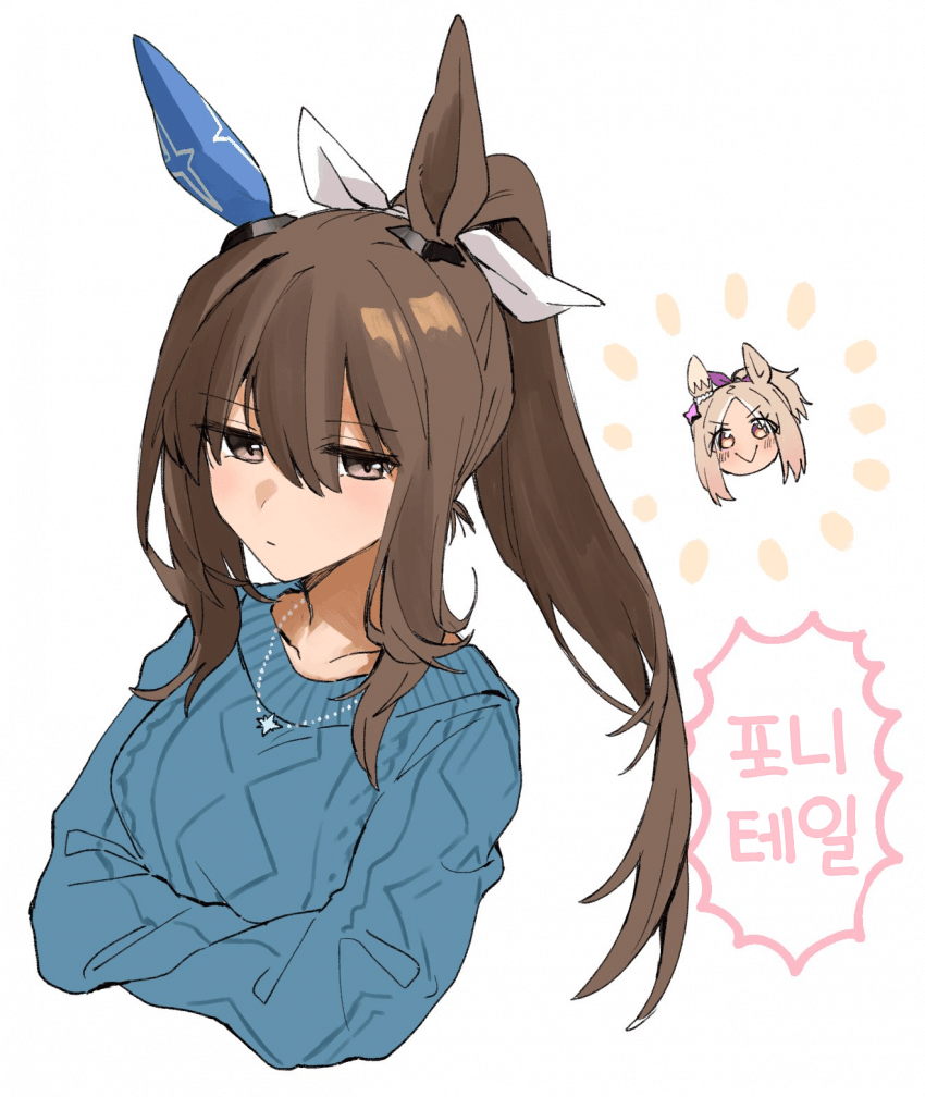 [ひとで]포니테일